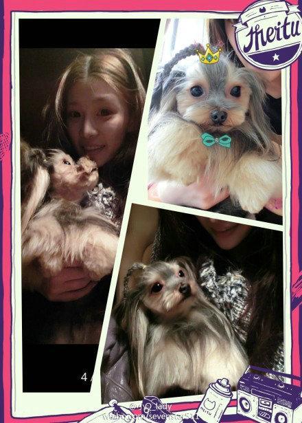 南京富二代殺妻案昨日開審 吉星鵬祁可欣昔日甜蜜合照回顧