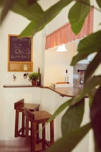 發財樹長得不錯吧，哈哈。