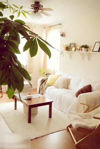 從這里可以看到主臥房門和沙發上的擱板