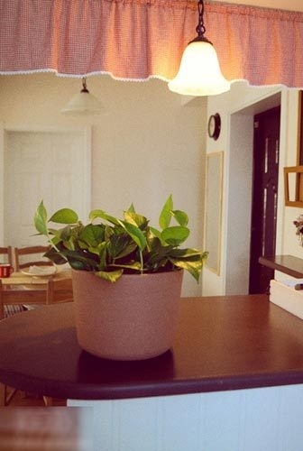 從客廳看吧臺，吧臺下面做了鞋柜。