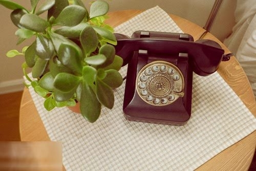 到處點綴的綠色植物