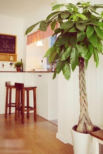 從吧臺看廚房，開放式廚房哦，當時也是猶豫了蠻久的，怕油煙大，不過因為做飯不多，還是做成開放式的了，實際上到現在為止感覺還是很好的。