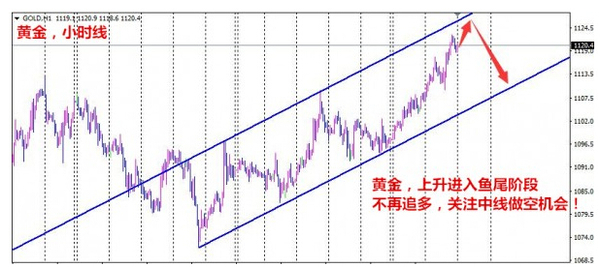 孫本偉：你以為黃金還在慢牛上漲，我卻已準備中線布空！