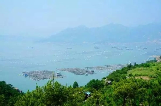 三都島