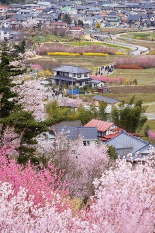 7位於西湖之西南，錢塘江北岸，五云山云棲塢里。由於地理環境的特殊，五云山上的五彩祥云，常飛集塢中棲留，並經久不散，稱“云棲”。