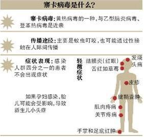 虎眼美股熱評：寨卡病毒肆虐 相關股票暴漲