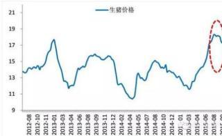 深度：中國股市你己無需太悲觀 商業見地網