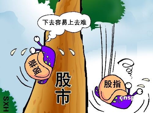 “賠指數，賺個股”的行情來了么？