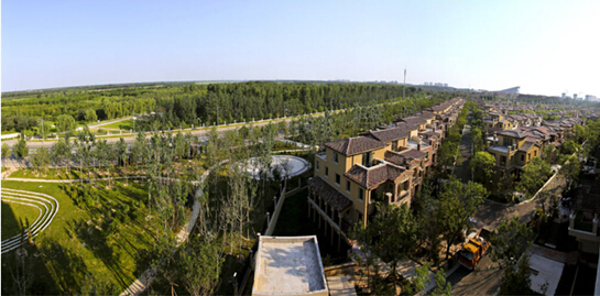 莊園向國家森林公園鳥瞰