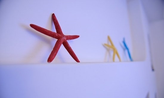 電視背景墻上的小海星