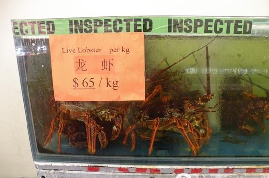 大龍蝦