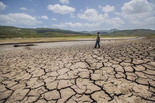 聖嬰現象將使全球經濟損失數百億美元 (圖: AFP)