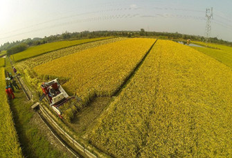 6、打造農業新模式