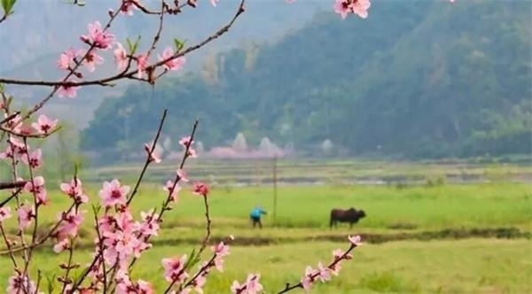 中國特色的古鎮讓人數都數不過來，在這些地方也有著他們的特色建筑，民居都有著地方特色。