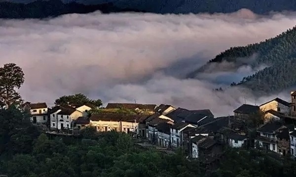 村外有一處高臺,可以俯瞰木梨硔全景,林海茫茫,竹海搖曳,你會在這里遇到很多慕名而來的攝影愛好者。