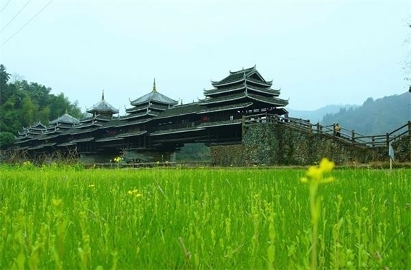 永濟橋是整個侗寨的入口,過橋后就是馬安寨。走近侗寨,你會發現遠處看起來黑乎乎的吊腳樓,竟然建造得那么精巧。整齊的屋瓦、上翹的飛檐、曲折的長廊,處處展現出一種含蓄的美。