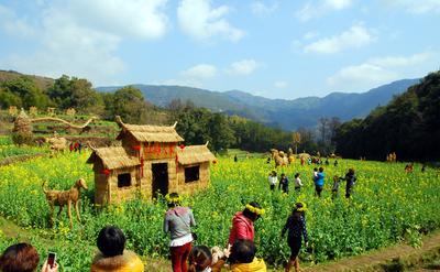遊客流連江嶺稻草人樂園