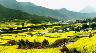 江嶺風光