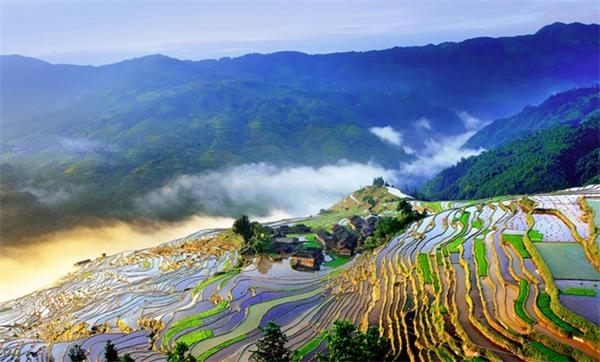 遠離農村,五谷不分。春天,萬物復甦,易於耕種。從江位於貴州省東南部,與廣西融水等城市接壤,是少數民族聚集區。這樣的平鋪直敘估計還是讓人難以明白這個地方到底是哪。若提到岜沙苗寨,中國最後的槍手部落,知名度或許更高。柳江繞城而過,從江縣依山傍水。生活在這片土地上的少數民族有苗、侗、壯、瑤、水等。