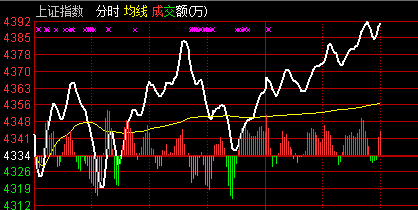 點擊看大圖