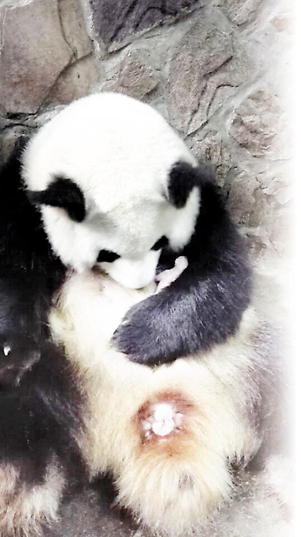 图片说明