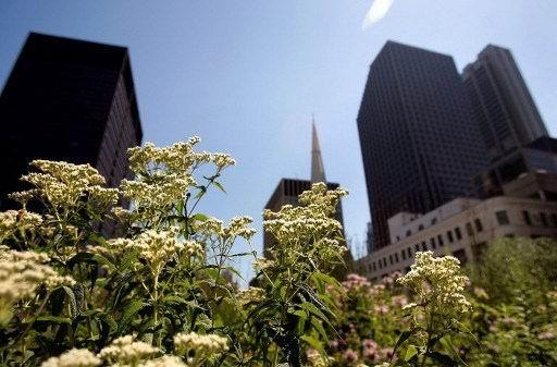 芝加哥市政債券狀況很糟      (圖:AFP)