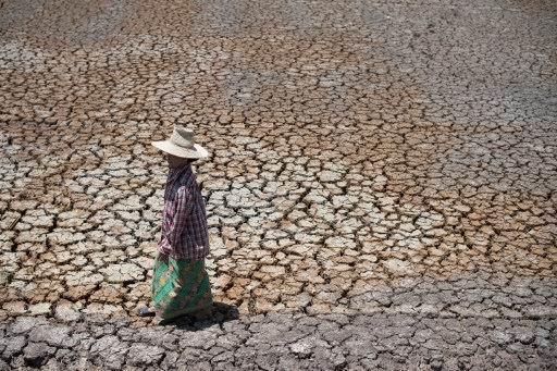 泰國大旱拖垮經      (圖:AFP)