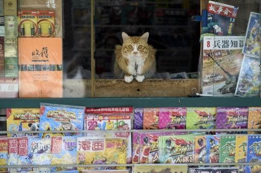 紙媒面臨極端氣候      (圖:AFP)