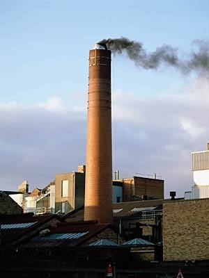 家住一套別墅或者一個院子的別把圍墻圍的很高圍墻太高就不好，最好是通透一點，如果建墻太高，會感覺自己在一個封閉的環境中特別不舒適，容易得精神抑郁症。