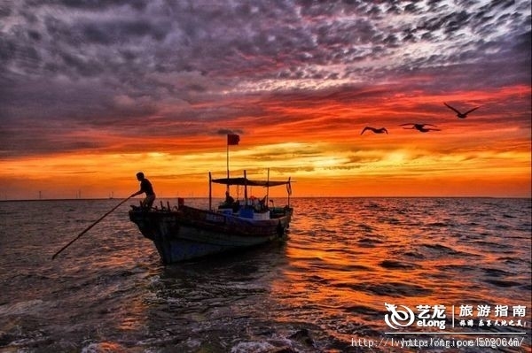 這個集“綠色、惠民、便捷、舒適”於一身的新壽光,令人震撼的“蔬菜之都”,清新亮麗,令人咂舌。綠色環保的城市為這些聞名於世的蔬菜提供了良好的生長環境。居住在這里,讓健康的分子在身體里凝聚生長,光是想象就令人向往。