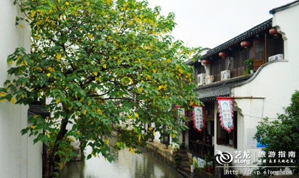 這是魯迅先生的故鄉,在古城小鋪內點幾碟茴香豆吧咋吧咋,品一壺老黃酒嘮嗑嘮嗑,江東人民的悠閑生活正是如此。住進白墻黑瓦,聽隔壁忽高忽低的越劇繞梁,出門搖著烏篷船或是坐在慢慢搖里,吸氣便是一腔的清新。