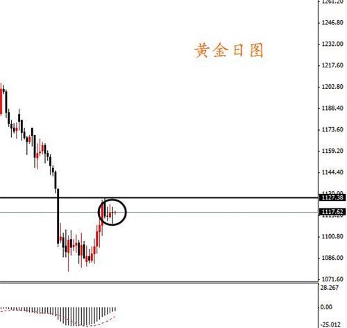 美國7月新屋開工創近八年來新高 歐元下跌