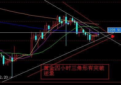 資料