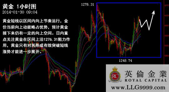 資料