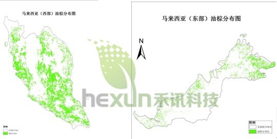 圖-3 馬來西亞棕櫚油分布