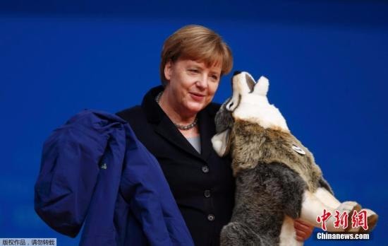 德國總理默克爾。  圖片來源：中新網