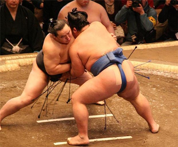 相撲愈來愈難吸引日本年輕人加入（圖取自維基百科）