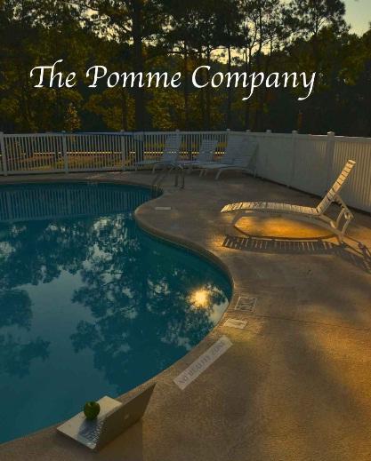 David Sobotta出版的書籍《The Pomme Company》封面。(圖：CNET)