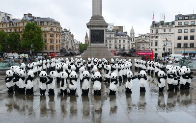 108名「熊貓人」在英國倫敦市中心著名的特拉法加廣場表演一段極具成都特色的「熊貓太極」