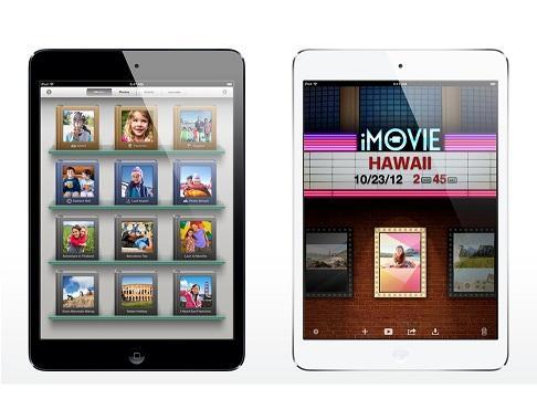 現有iPad mini。(圖:蘋果官網)
