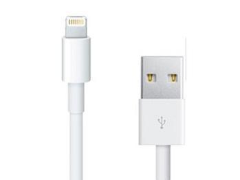 蘋果Lightning接頭。(圖:蘋果官網)