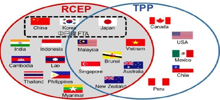 rceptpp图片