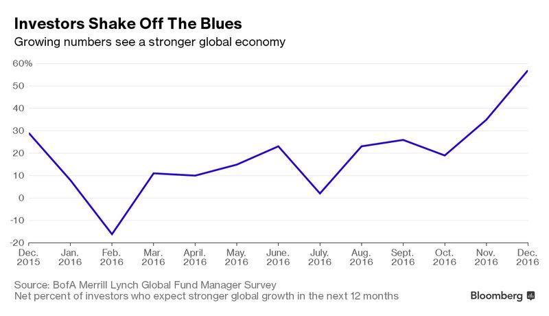 相信全球經濟將在未來12個月強勁增長佔總調查人數之比例　圖片來源：Bloomberg