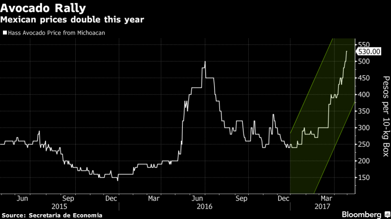 墨西哥 Michoacan 州酪梨價格　圖片來源：Bloomberg