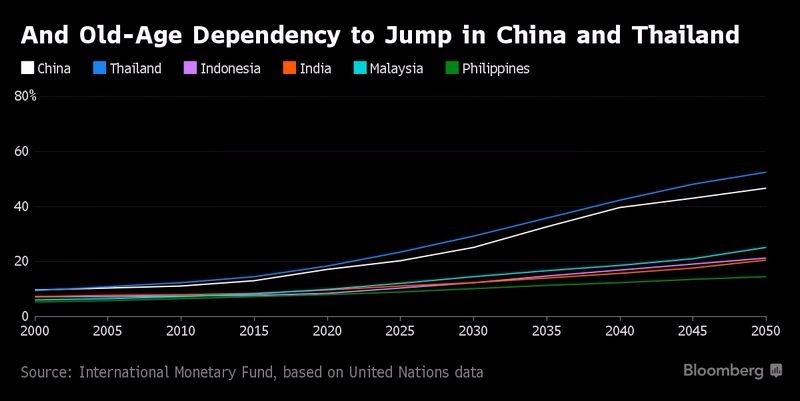 中國、泰國、印尼、印度、馬來西亞、菲律賓之老年扶養比　圖片來源：Bloomberg