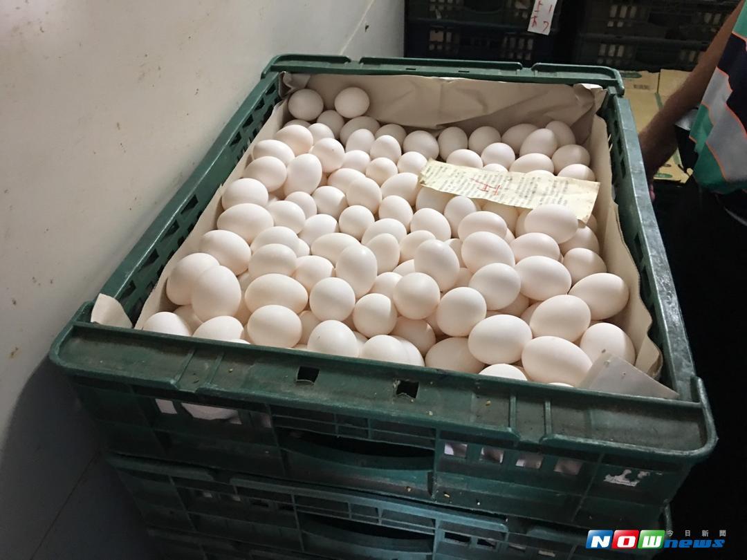 農委會決定將8萬6千多顆封存雞蛋採堆肥方式處理。（圖／記者陳雅芳翻攝，2017.8.22）
