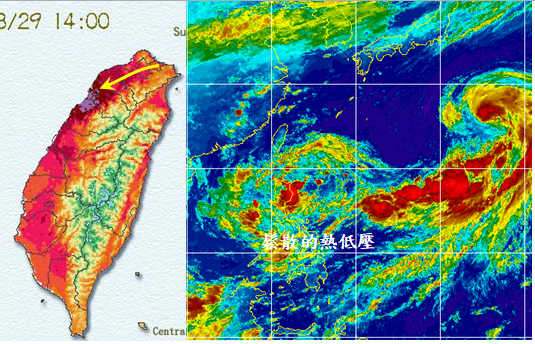 ▲左：昨（29）下午2時溫度分布圖顯示，盛行東北東風（黃箭頭）；左：今（30）日紅外線衛星雲圖顯示，低氣壓在菲律賓東方海面，向西移動，結構仍鬆散。（圖／翻攝自「洩天機教室」）