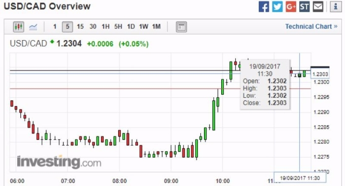 美元兌加元 5 分鐘走勢圖　圖片來源：investing.com