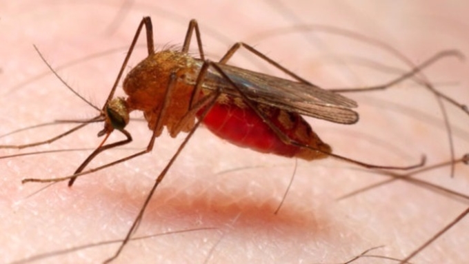 cover image of news article