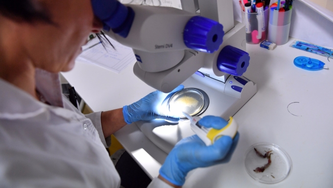 Q4生技迎旺季利多